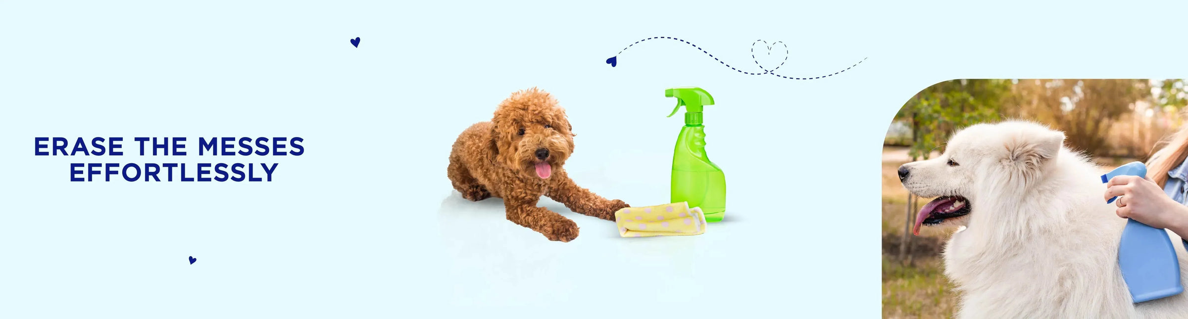 Stain & Odour Control - PetsCura