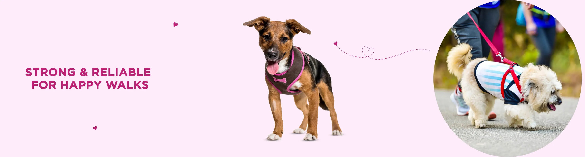 Harnesses - PetsCura
