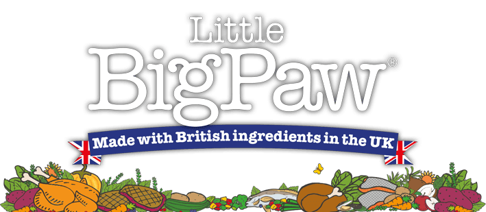 Little Big Paw - PetsCura