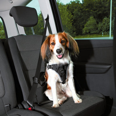 Dog Protect Car Harness - PetsCura