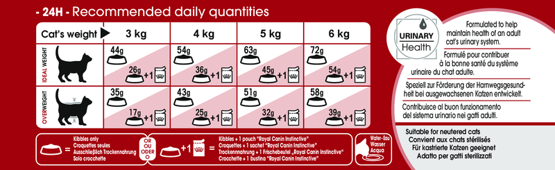 Royal Canin Fit 32 - PetsCura