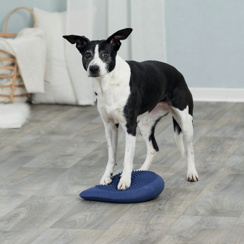 Dog Agility- Balance Cushion - PetsCura