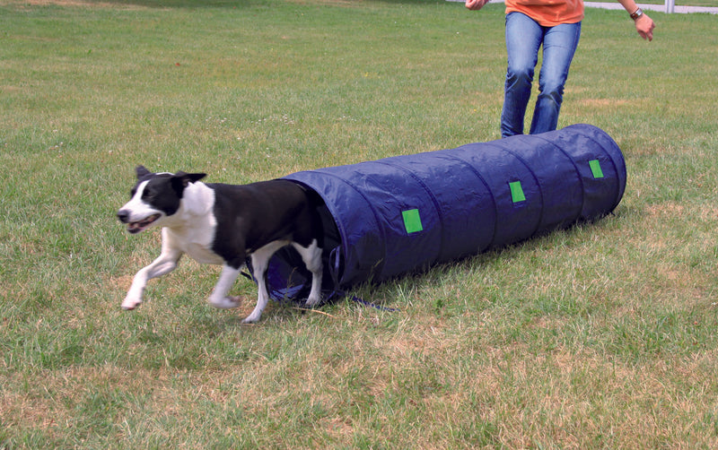 Dog Agility - Puppy Tunnel - PetsCura