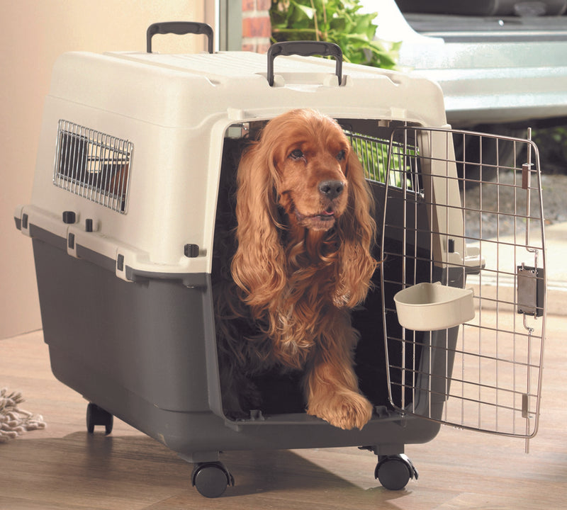 Andres Pet Carrier - PetsCura