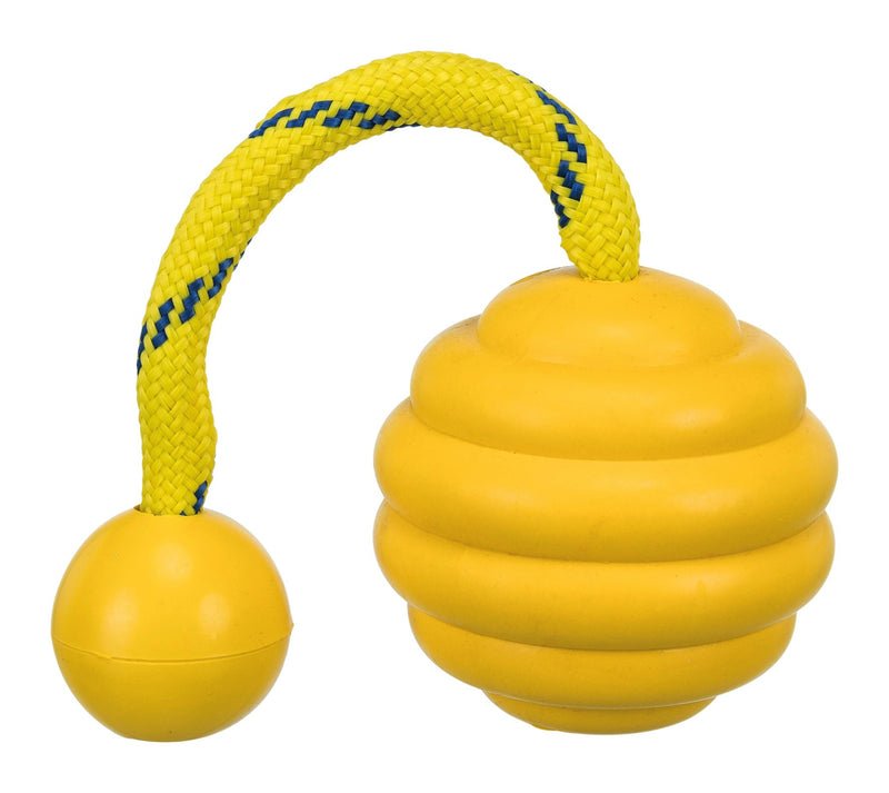 Sporting Wavy Ball on a Rope