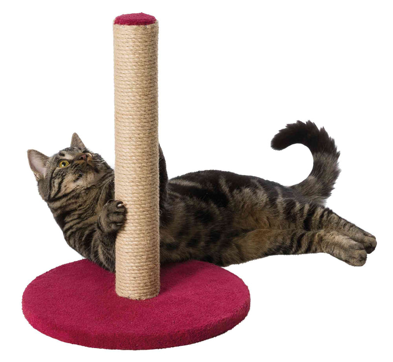 Scratching Post on Plate - PetsCura