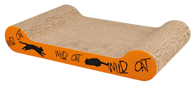 Wild Cat Scratching Cardboard