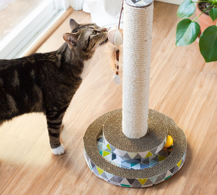 Scratch and Play Tower Track - PetsCura