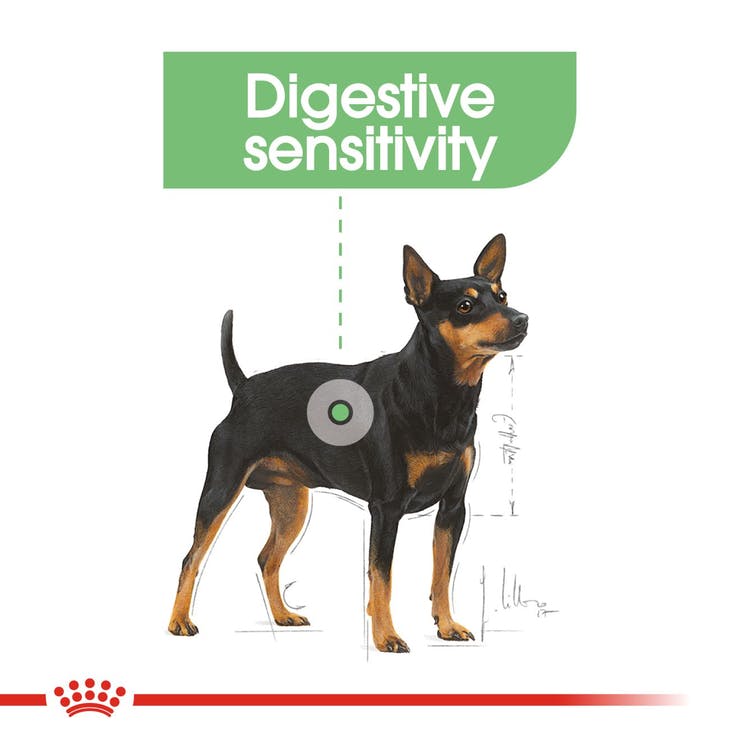 Royal Canin Mini Digestive Care - PetsCura