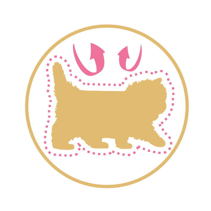Royal Canin Persian Kitten - PetsCura