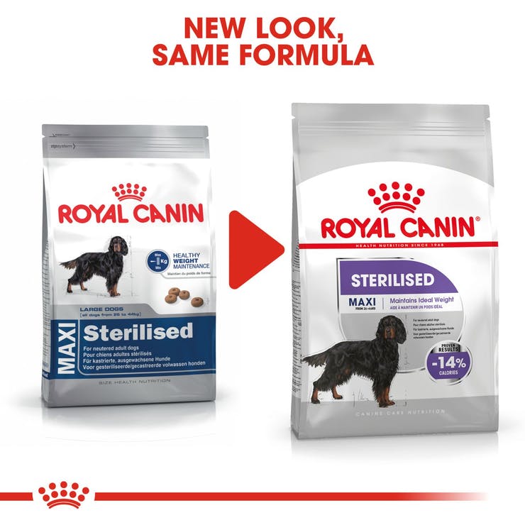 Royal Canin Maxi Sterilised - PetsCura