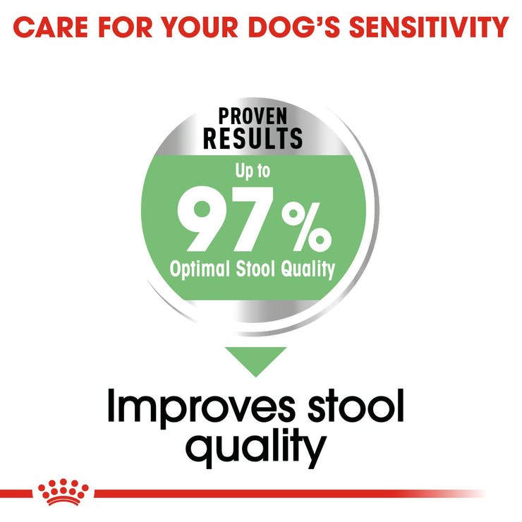 Royal Canin Maxi Digestive Care - PetsCura
