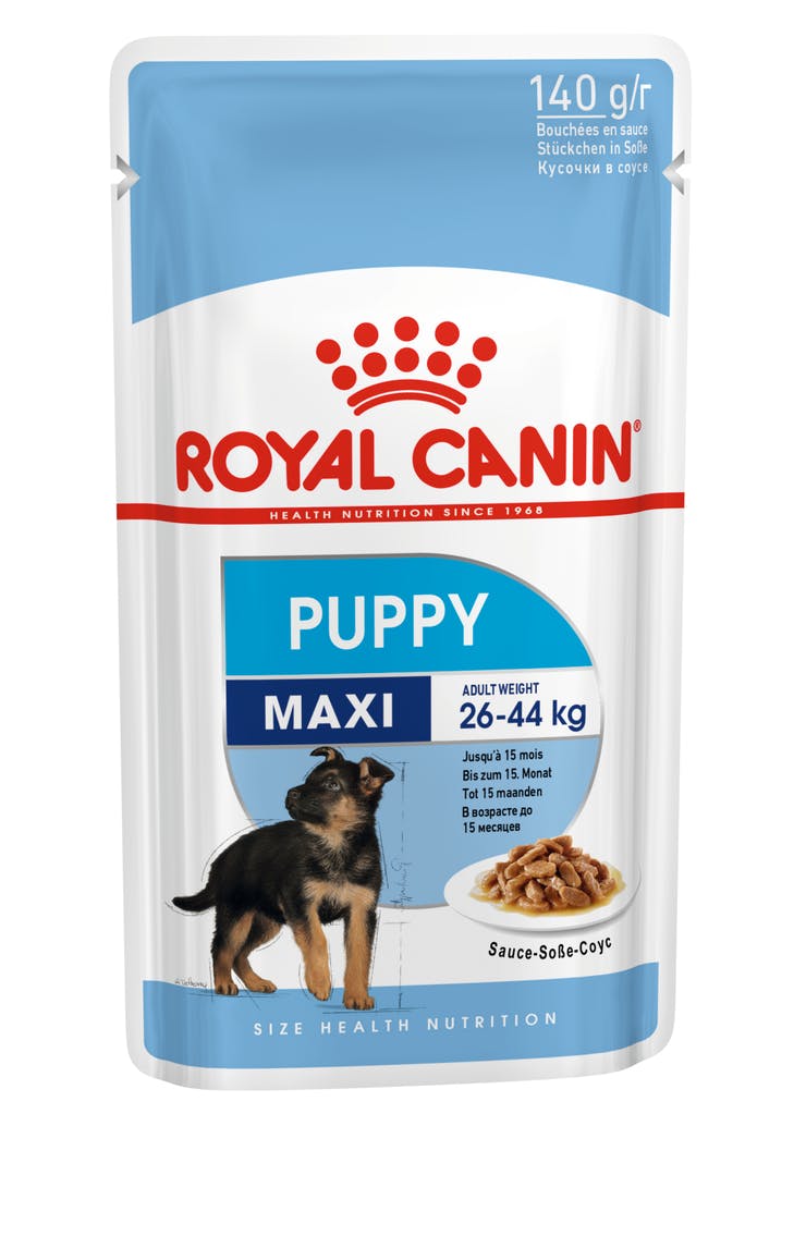 Royal Canin Maxi Puppy Wet - PetsCura