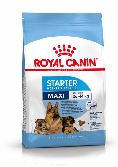 Royal Canin Maxi Starter - PetsCura