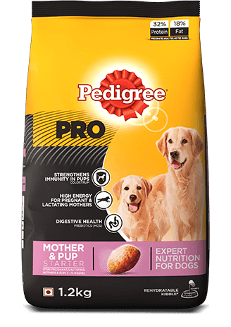 Pedigree Pro Starter Mother & Pup