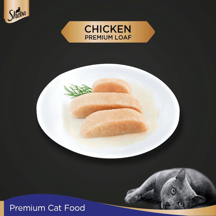Sheba Premium Wet Cat Food - Chicken Loaf - PetsCura
