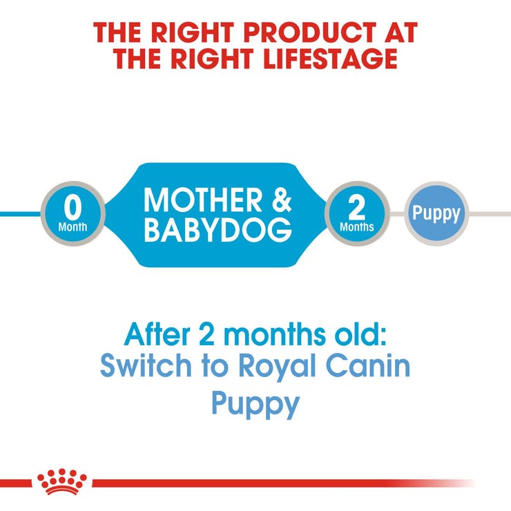 Royal Canin Starter Mousse Mother & Babydog - PetsCura