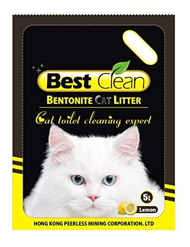 Best Clean Scented litter - PetsCura