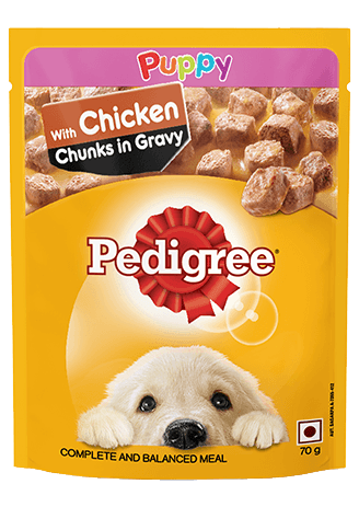 Pedigree Gravy Puppy Chicken Chunks