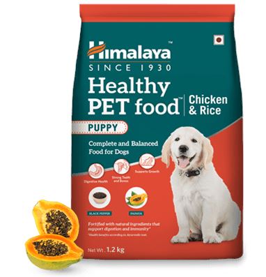 Himalaya healthy Chicken & Rice Pet food- Puppy - PetsCura