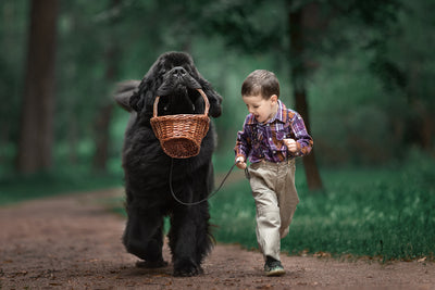 Reasons why every child needs a dog