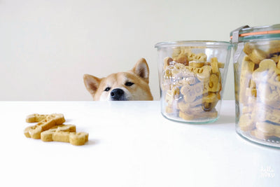 Hazards while baking homemade treats for your Pets