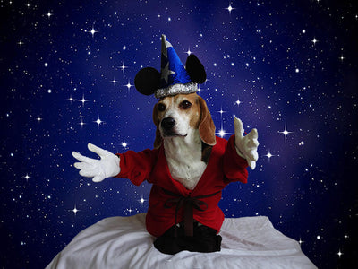 Dogs Dressed as Disney Characters