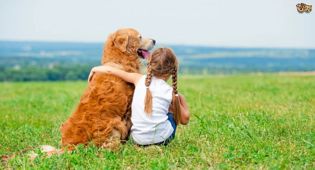 Reasons why you should get a Dog ASAP! - PetsCura