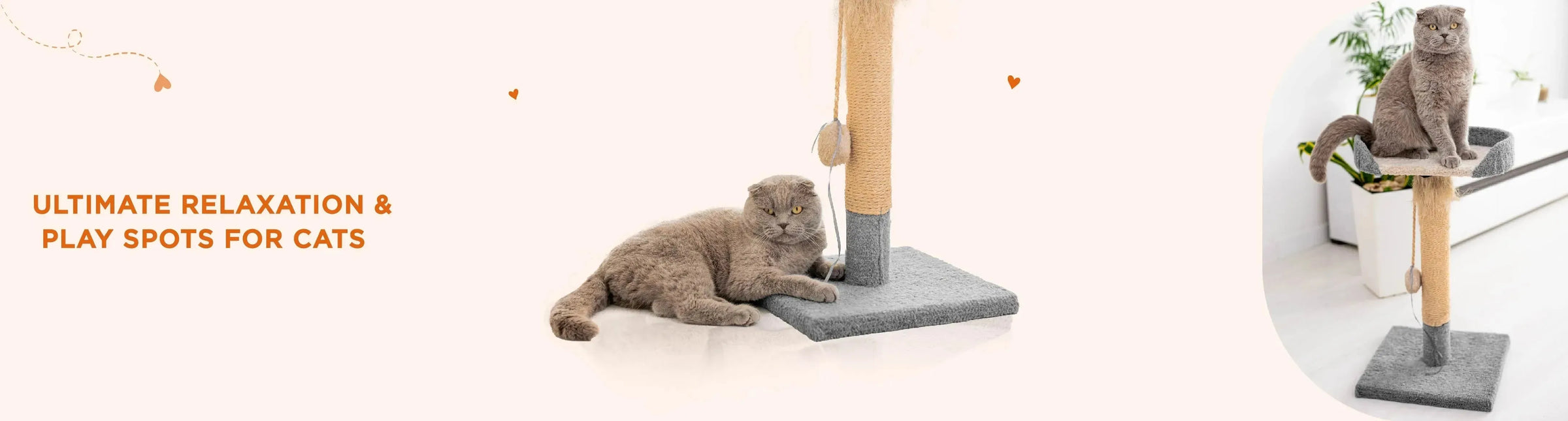 Cat Furniture & Scratchers - PetsCura