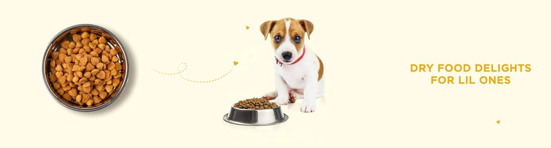 Puppy Dry Food - PetsCura