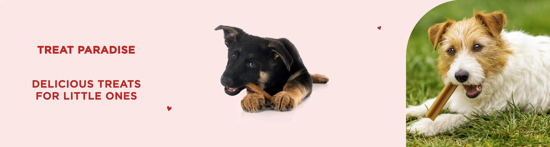Puppy Treats - PetsCura