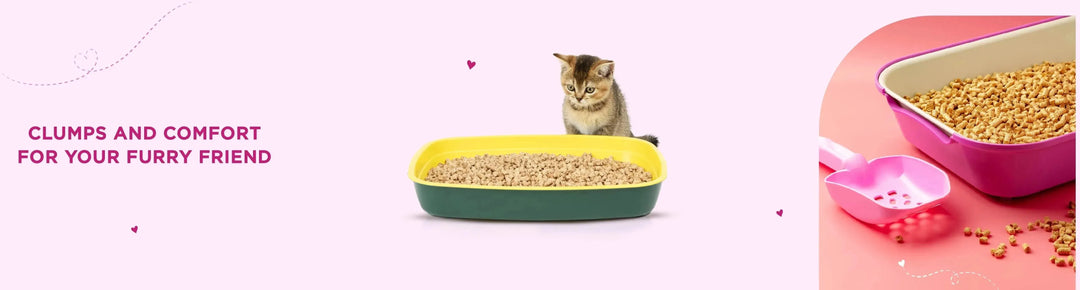 Litter & Accessories - PetsCura