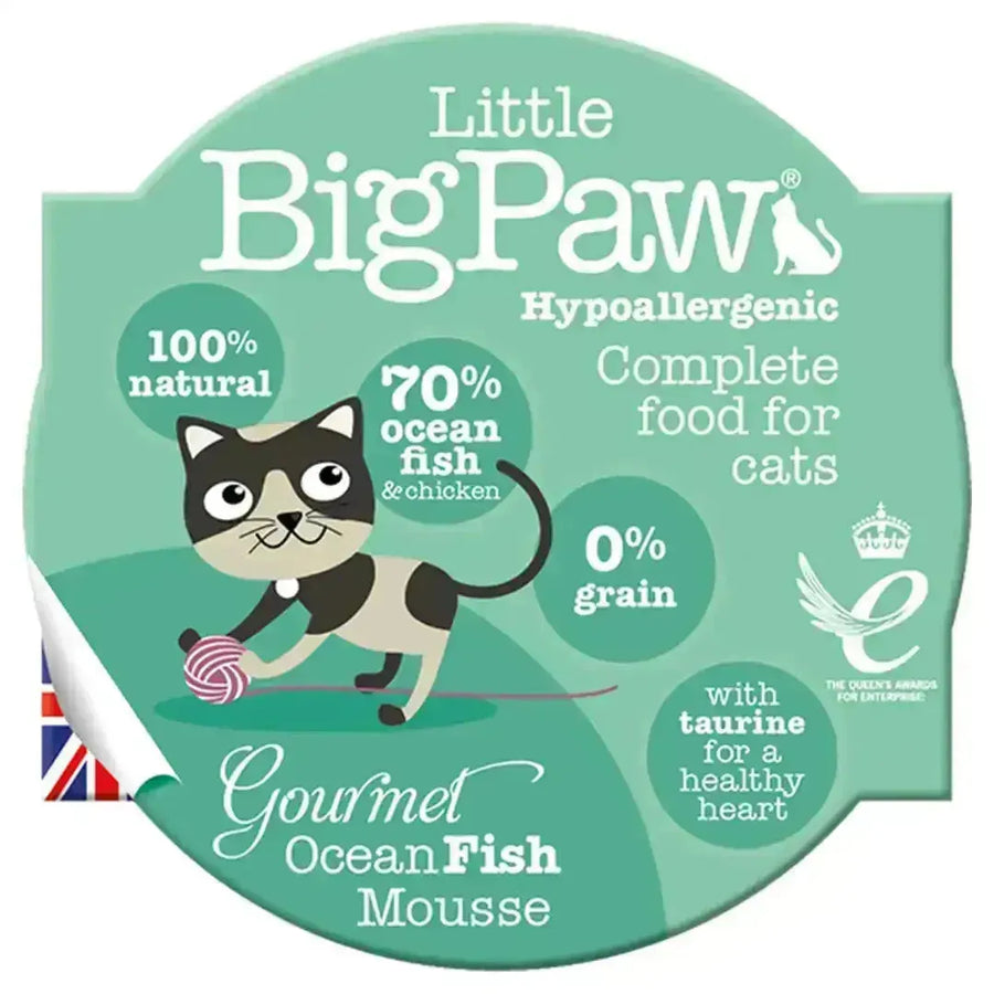 Little Big Paw Gorumet Ocean Fish Mouse - PetsCura