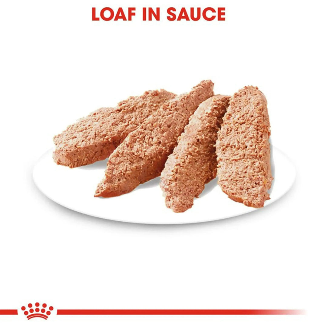 Royal Canin Light Care Canine Loaf 12 x 85 Gms - PetsCura