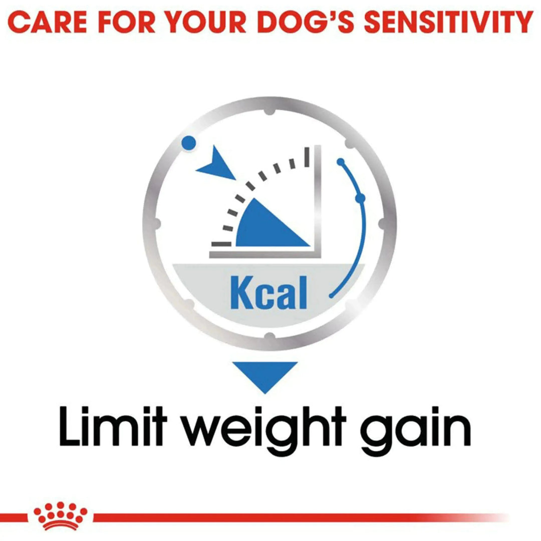 Royal Canin Light Care Canine Loaf 12 x 85 Gms - PetsCura