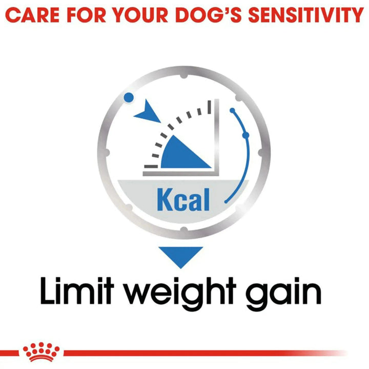 Royal Canin Light Care Canine Loaf 12 x 85 Gms - PetsCura