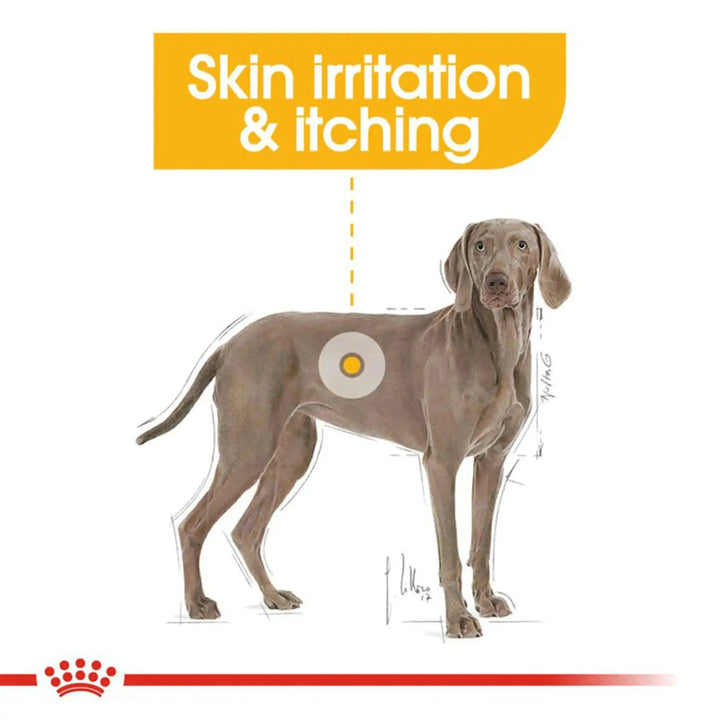 Royal Canin Maxi Dermacomfort - PetsCura