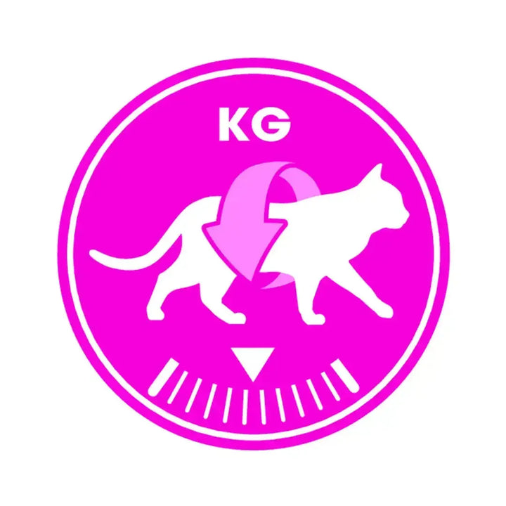 Royal Canin Savour Exigent - PetsCura