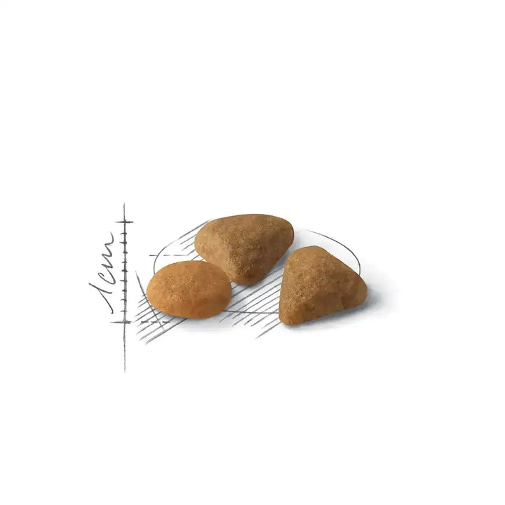 Royal Canin Savour Exigent - PetsCura
