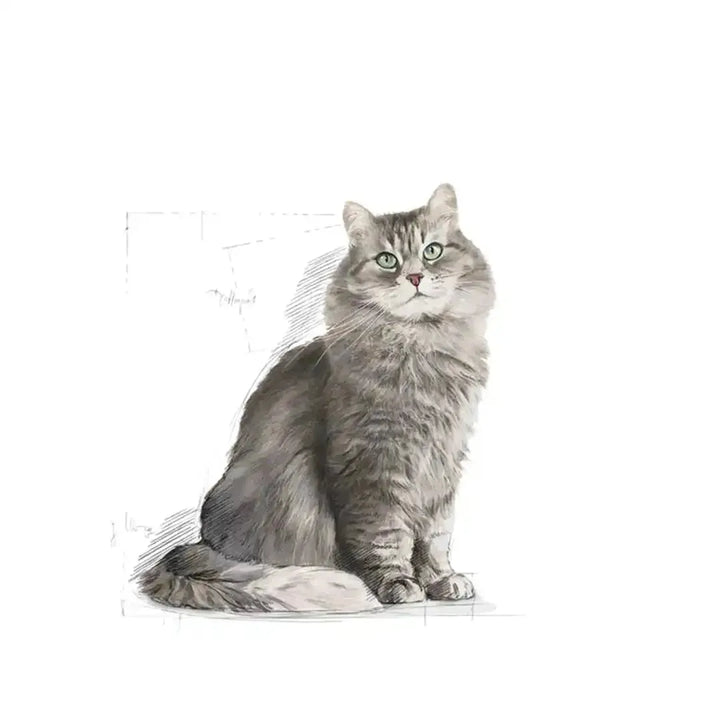 Royal Canin Sensible 33 - PetsCura