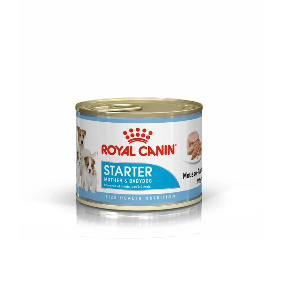 Royal Canin Starter Mousse Mother & Babydog - PetsCura