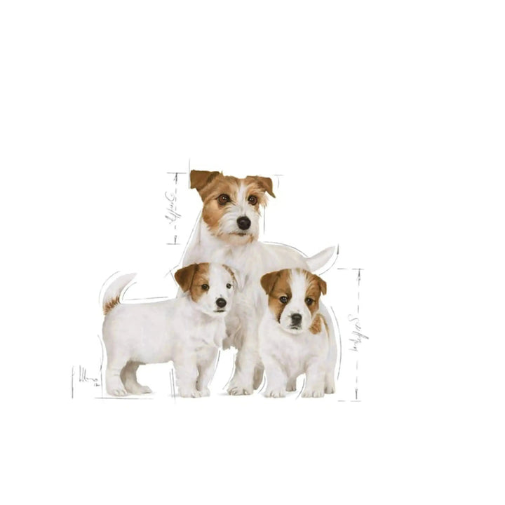 Royal Canin Starter Mousse Mother & Babydog - PetsCura