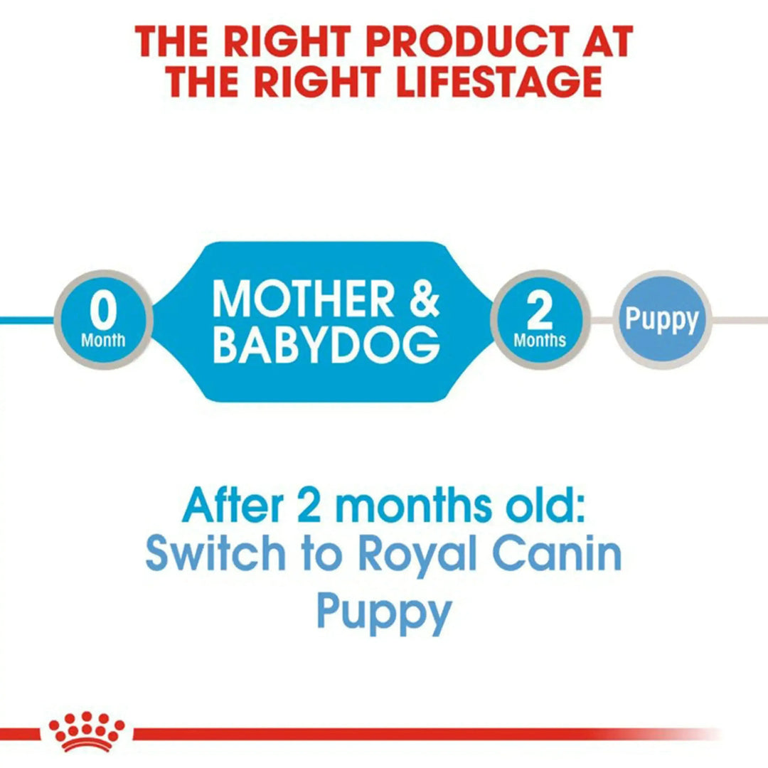 Royal Canin Starter Mousse Mother & Babydog - PetsCura