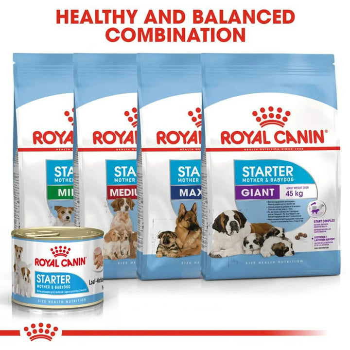 Royal Canin Starter Mousse Mother & Babydog - PetsCura