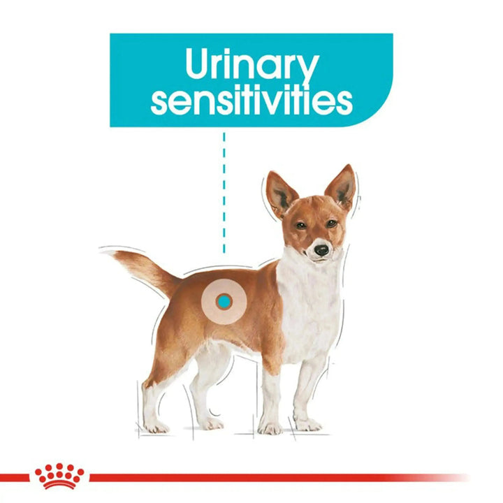 Royal canin Urinary Care Canine Loaf 12 x 85 gms - PetsCura