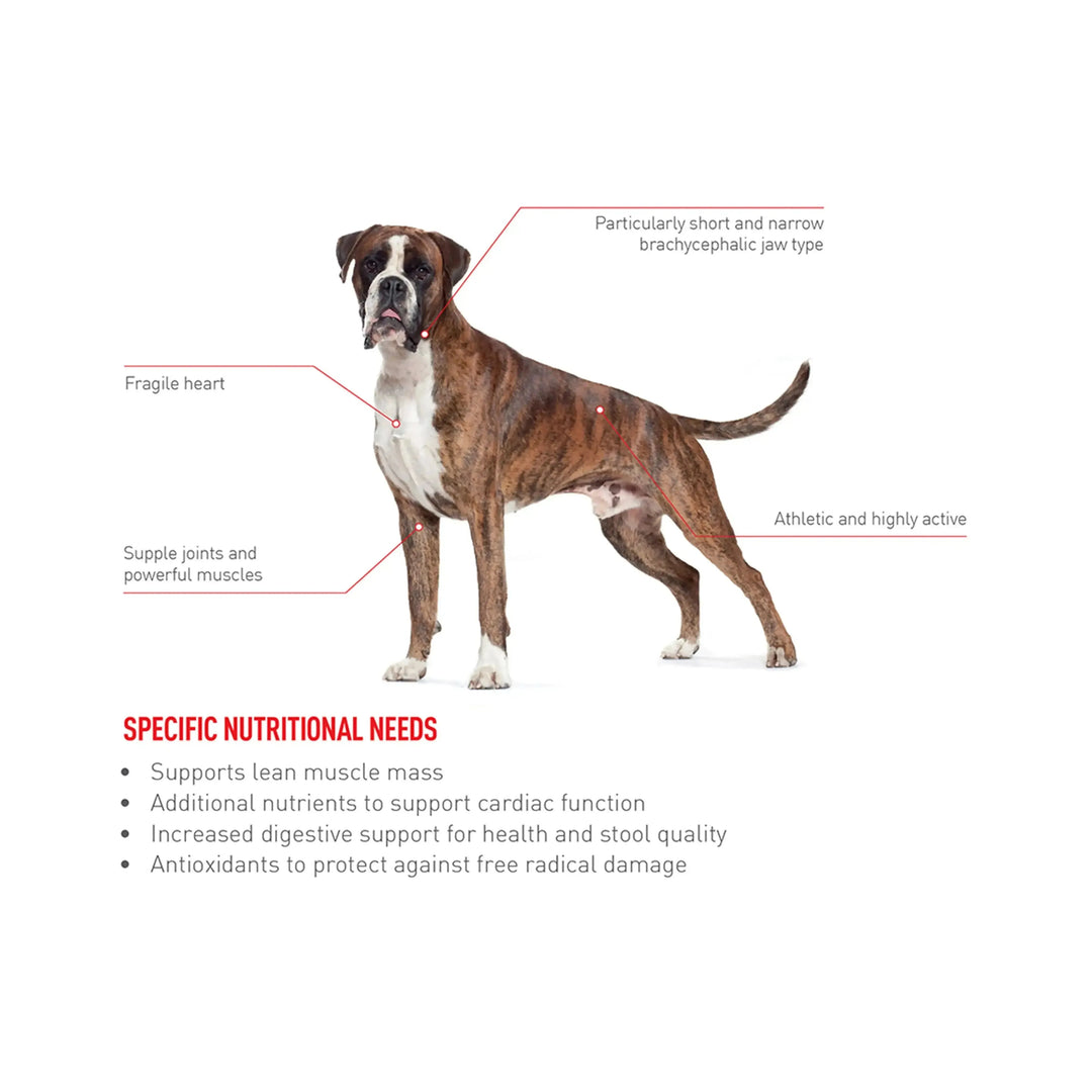 Shop For Royal Canin Boxer Puppy Dry Dog Food PetsCura