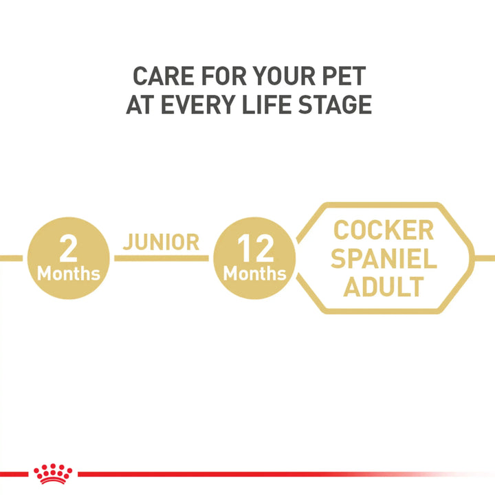 Royal Canin Cocker Spaniel Adult - PetsCura
