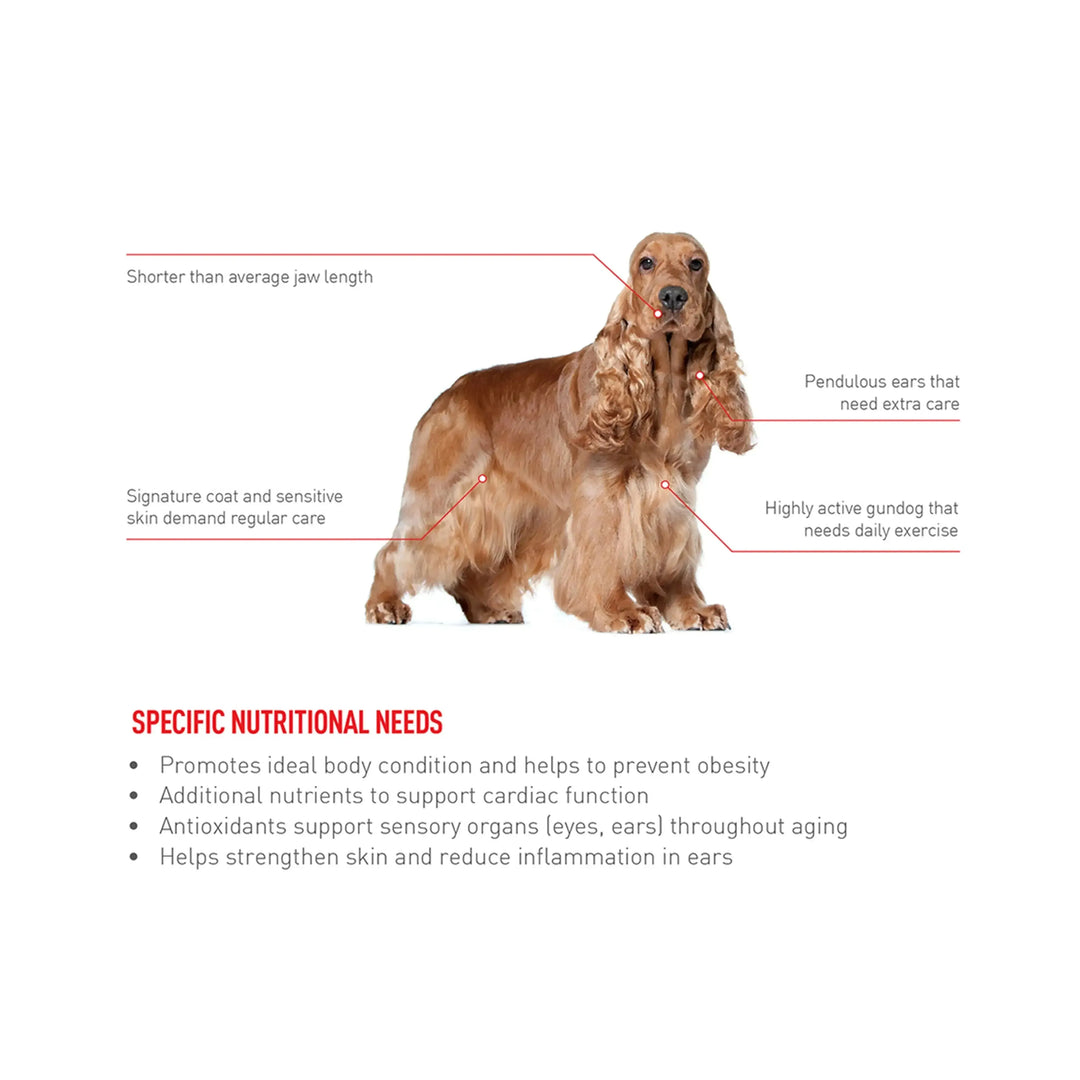 Royal Canin Cocker Spaniel Adult - PetsCura
