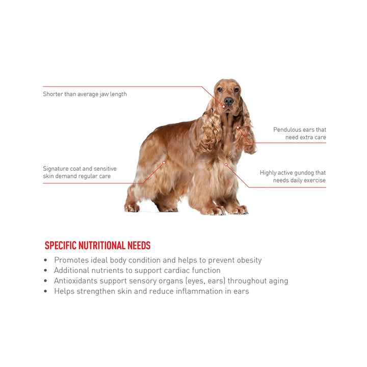 Royal Canin Cocker Spaniel Adult - PetsCura