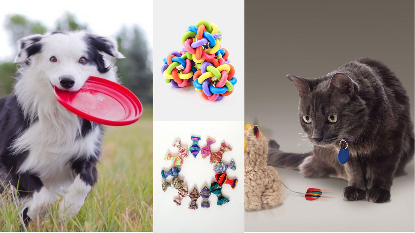 Shop for a Wide Range of Pet Toys. Shop for toys. Dog toy, Cat toy.
